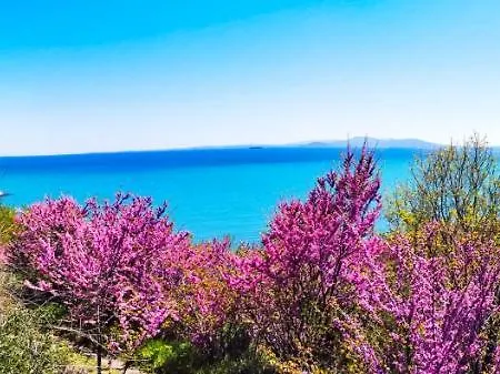 公寓 Luxury Alix 布尔加斯