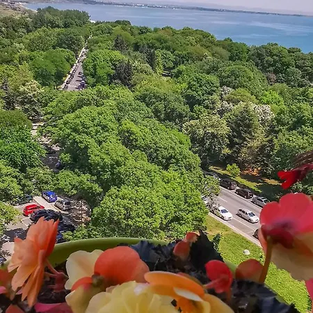 Luxury Alix 公寓 *