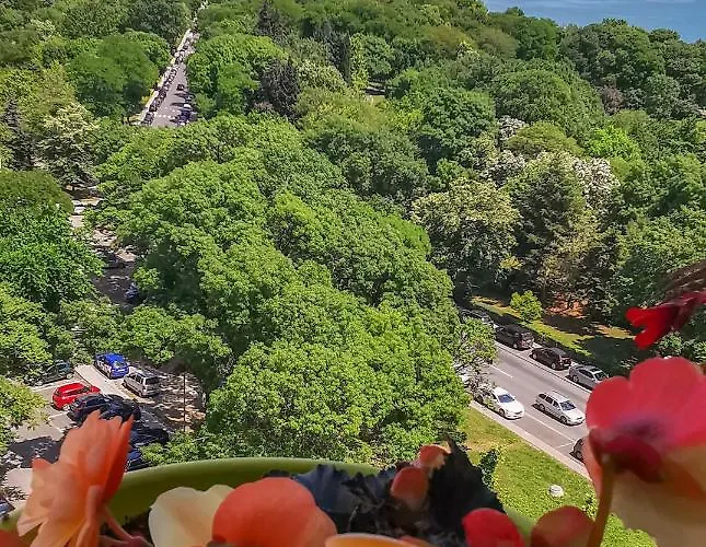 Luxury Alix דירה *